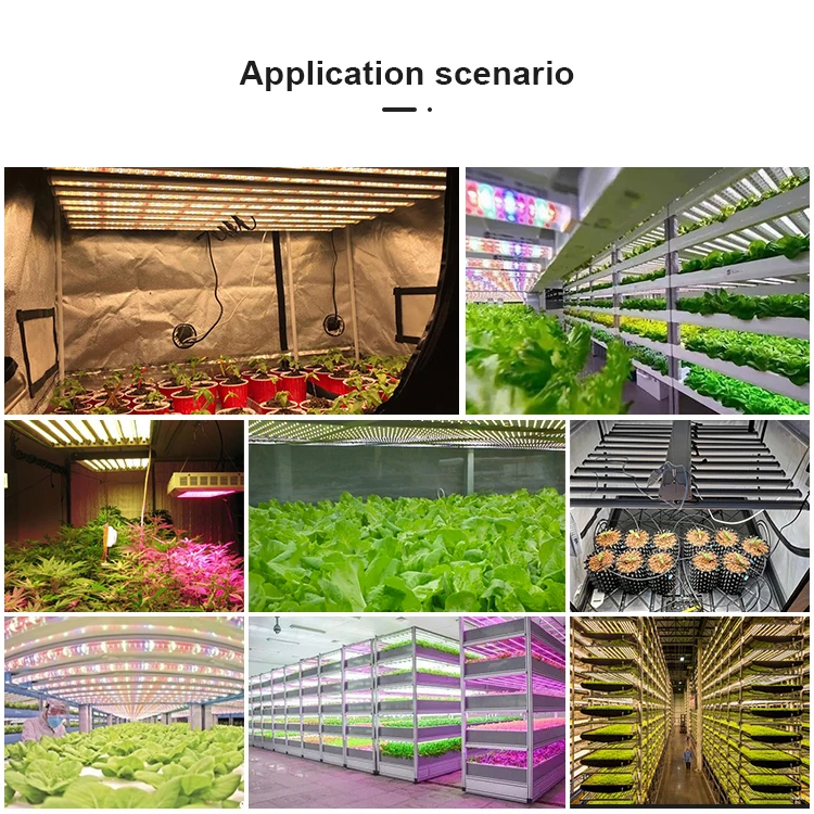 Led Grow Light Uv Ir Full Spectrum 4x4 Tents Growing Samsung Lm301b Lm301h 480w 640w 1000w 4 Bars Grow Lights For Indoor Plant