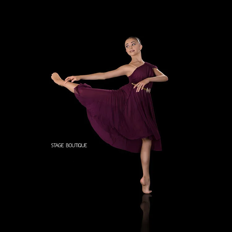 New Arrival Women Girls ballet lyrical  Dance costumes  power mesh ballet Dresses for Women