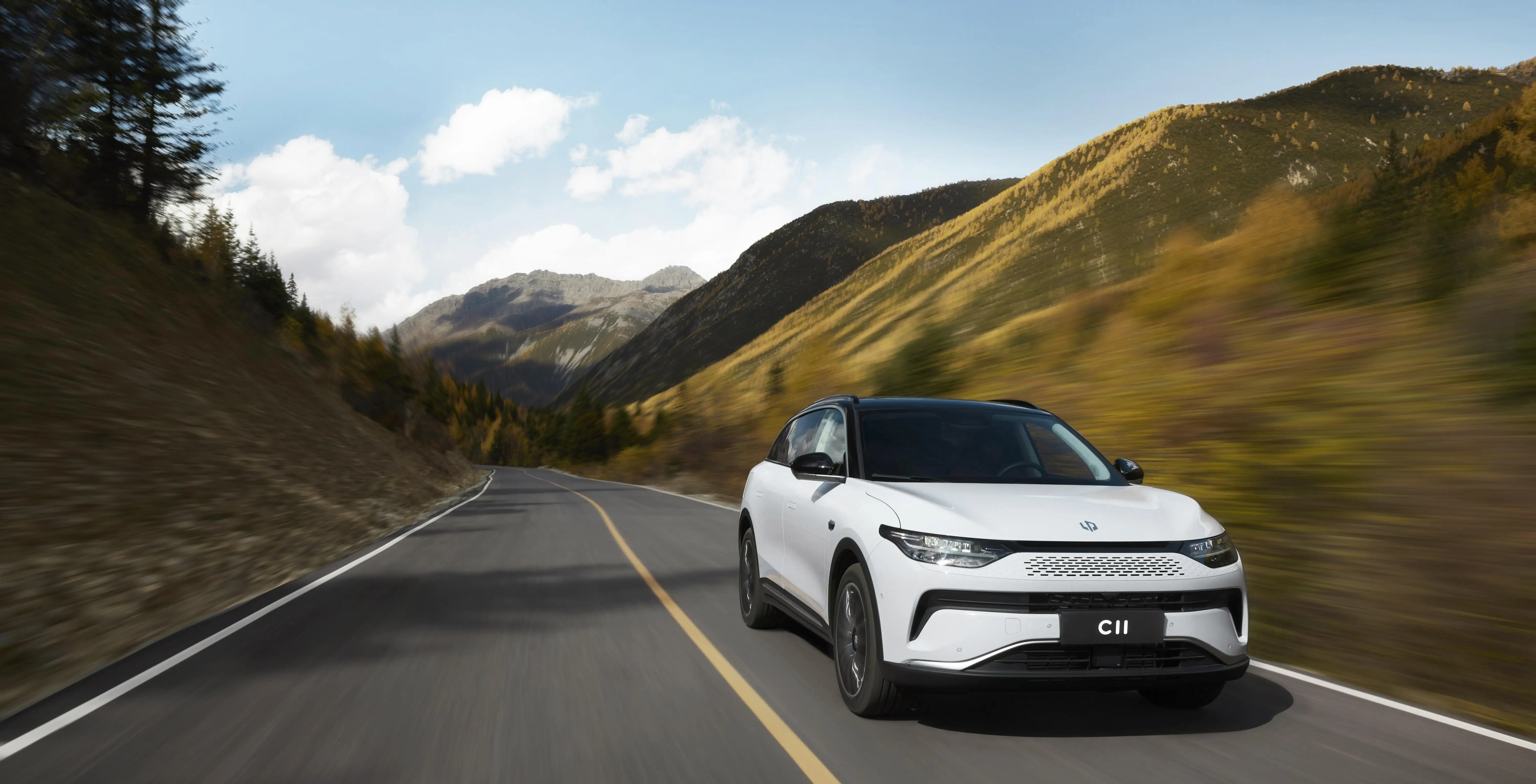 Lingpao C11 2024 EV Electric C11 Extended Range 200 Intelligent Edition  add-on program (Tw)