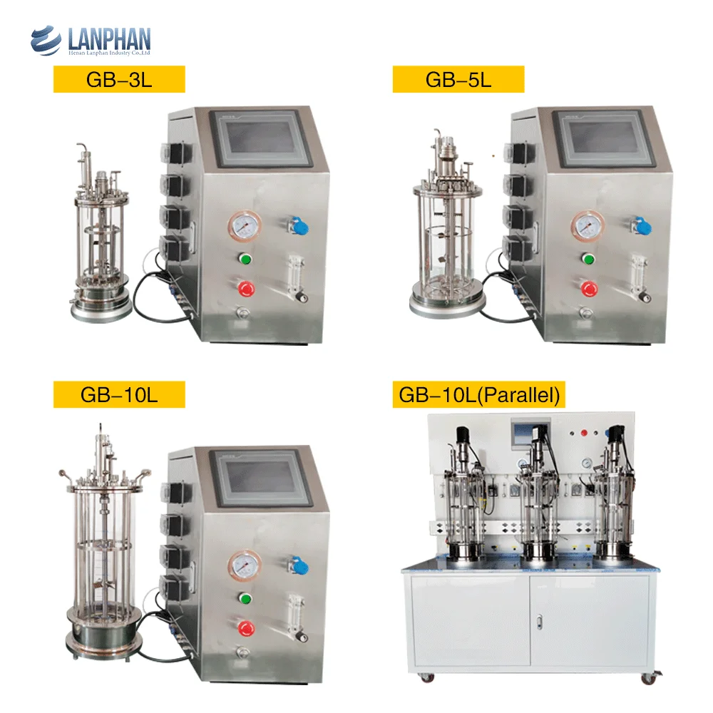Laboratory small glass airlift bioreactor fermenter 3L 5L 10L bench top bioreactors