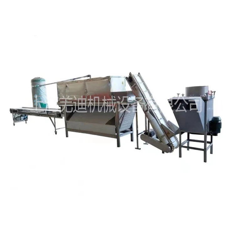 new automatic type dry garlic peeler machine/breaking equipment/small garlic splitter peeling line