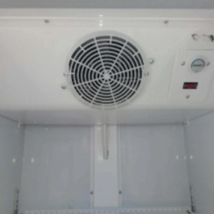 Commercial Beverage Refrigerator Freezer Vertical Showcase Freezer Upright Freezer With Single Glass Door