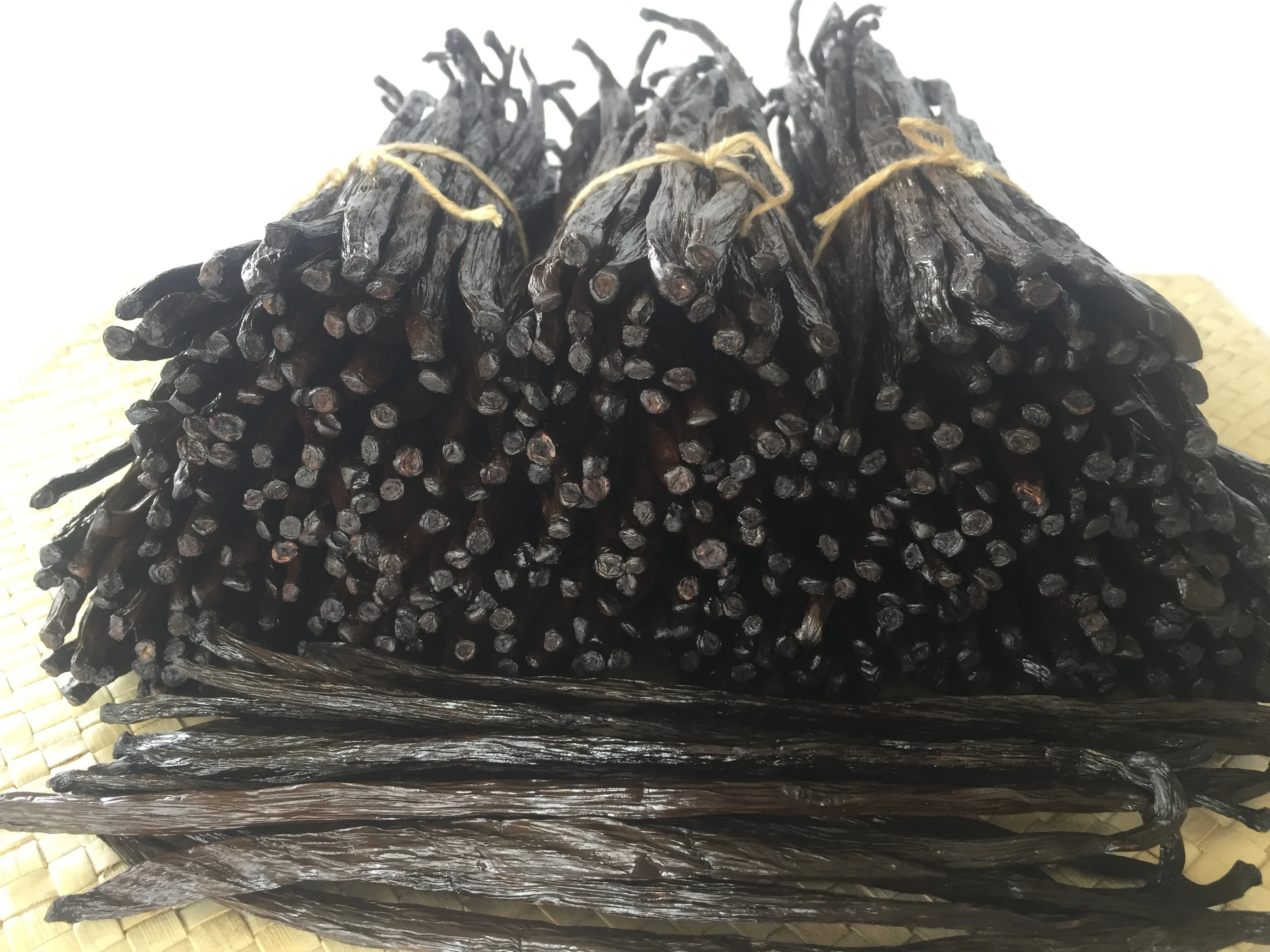 RENDAH PLANIFOLIA GOURMET 18-19CM VANILLA BEANS Super Premium Quality Indonesia Hot Selling Bourbon Vanilla Pods with Best Price