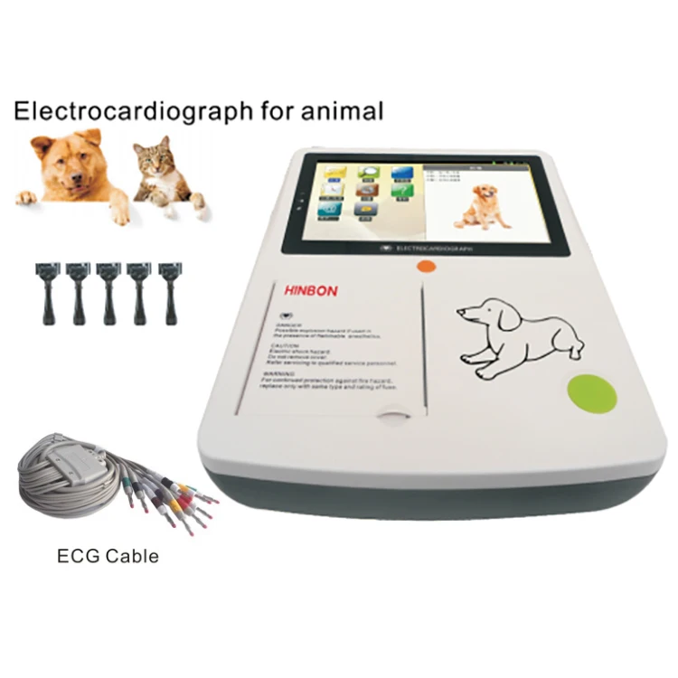 Colorful screen 12 channel digital veterinary monitor electrocardiogram for Clinic home ecg machine