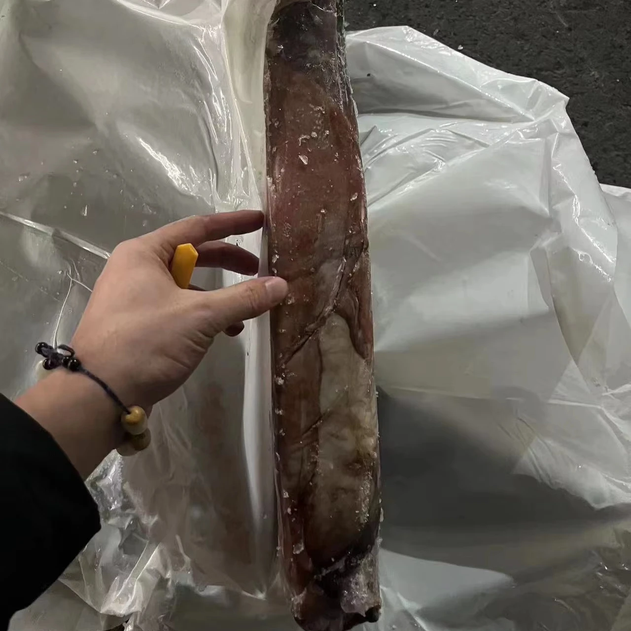 Frozen dosidicus gigas wings  Peru Squid wings with skin Giant squid wings skin on