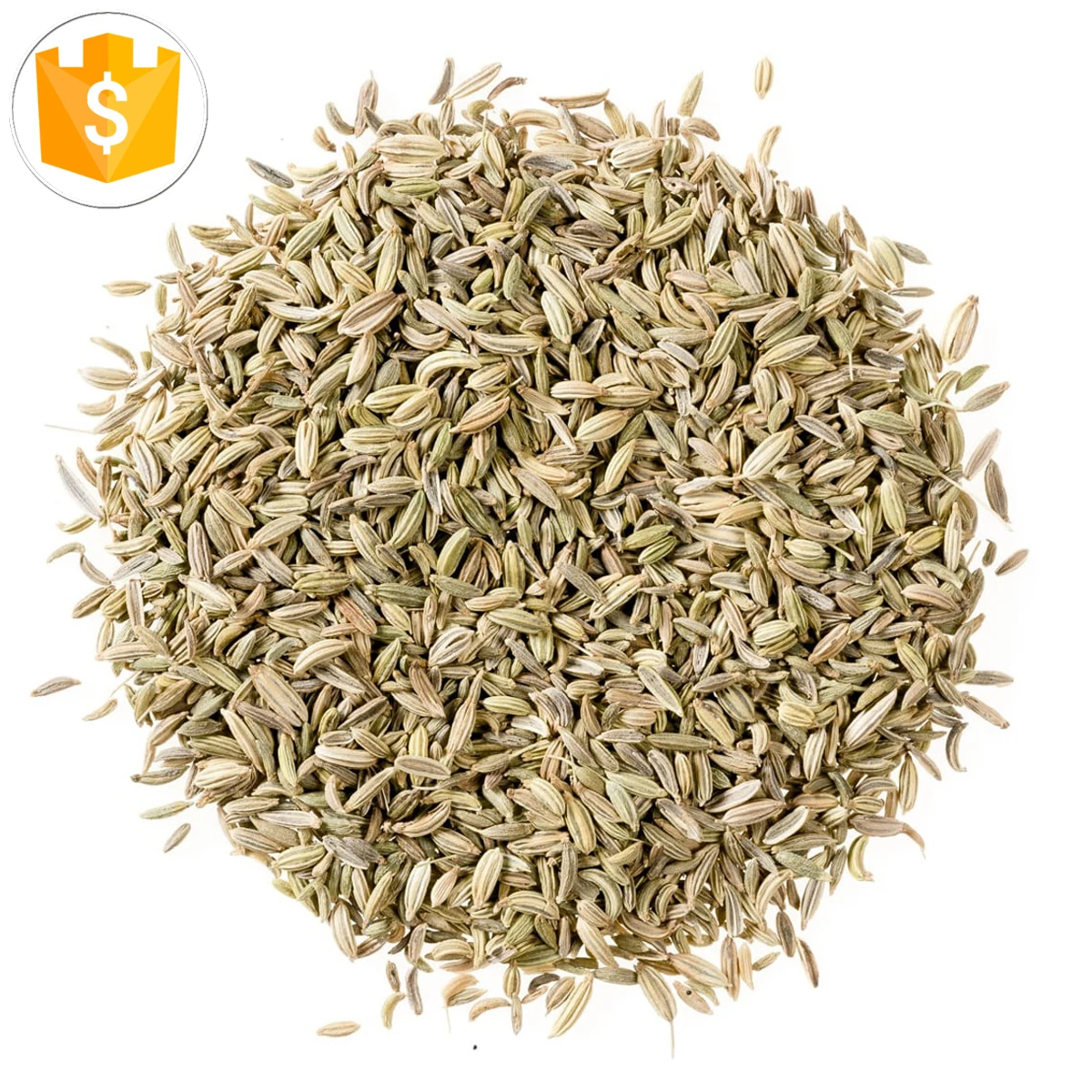 oem hot sale poudre de fenouil  dried ground fennel seeds whole