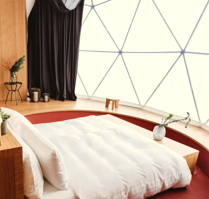 20ft Luxury Geodesic Dome Tent Glamping Dome With Bathroom