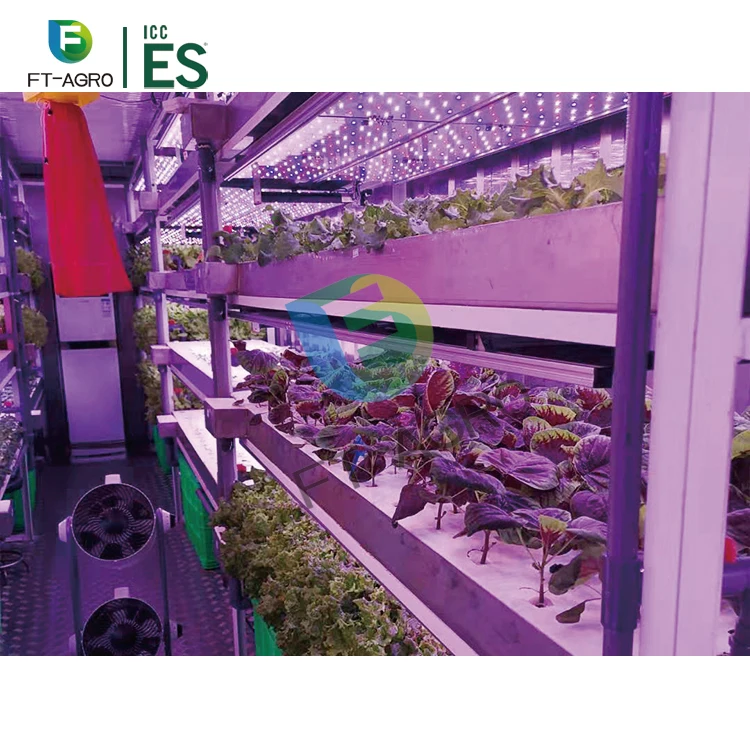 40ft container hydroponic farm greenhouse  smart farm for agricultural microgreen growing