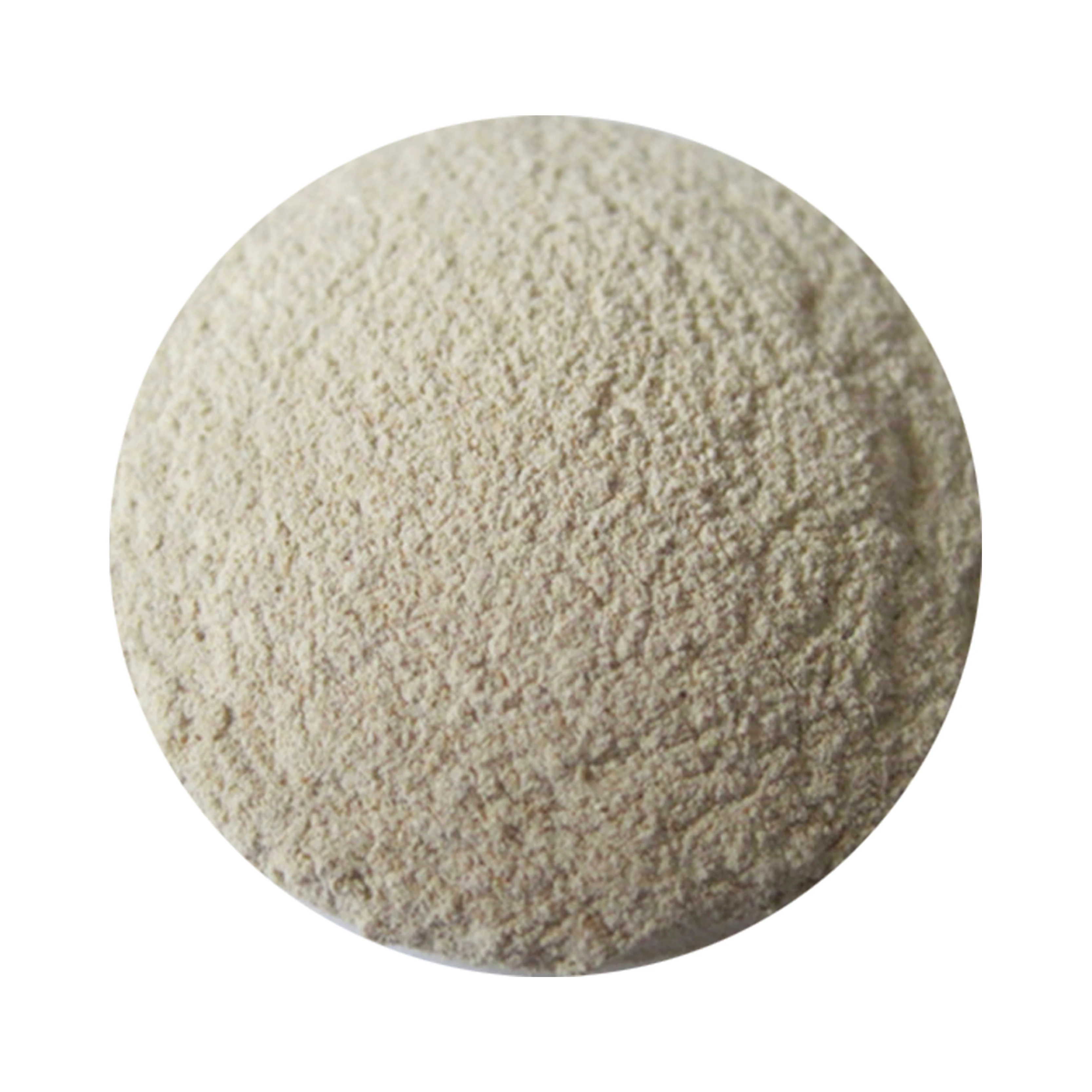 
High Concentration Xylanase Enzyme For Feed Additive Feed Grade Enzyme 