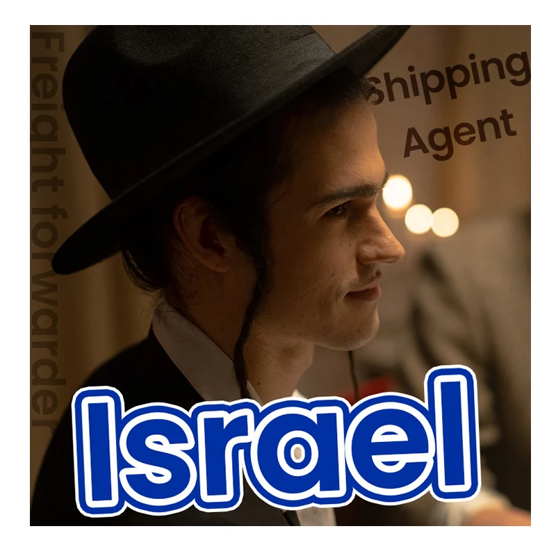 professional freight forwarder shipping from china to Israel by sea air and express with DDP