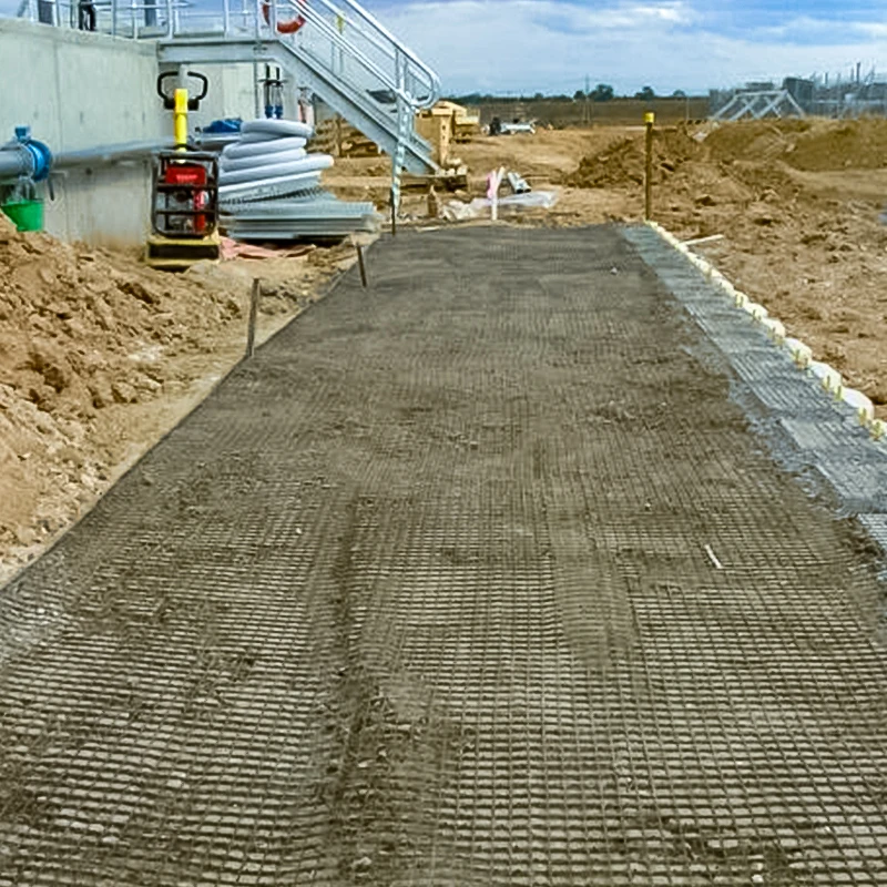 Newest design top quality welding steel plastic composite earthwork extruded geogrid