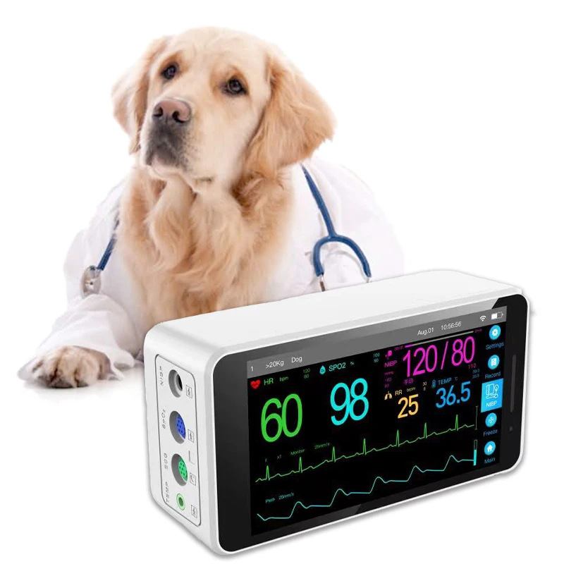 Professional Vet Monitor SpO2 blood pressure pulse rate blue tooth portable animal monitoring blood pressure Veterinary pet