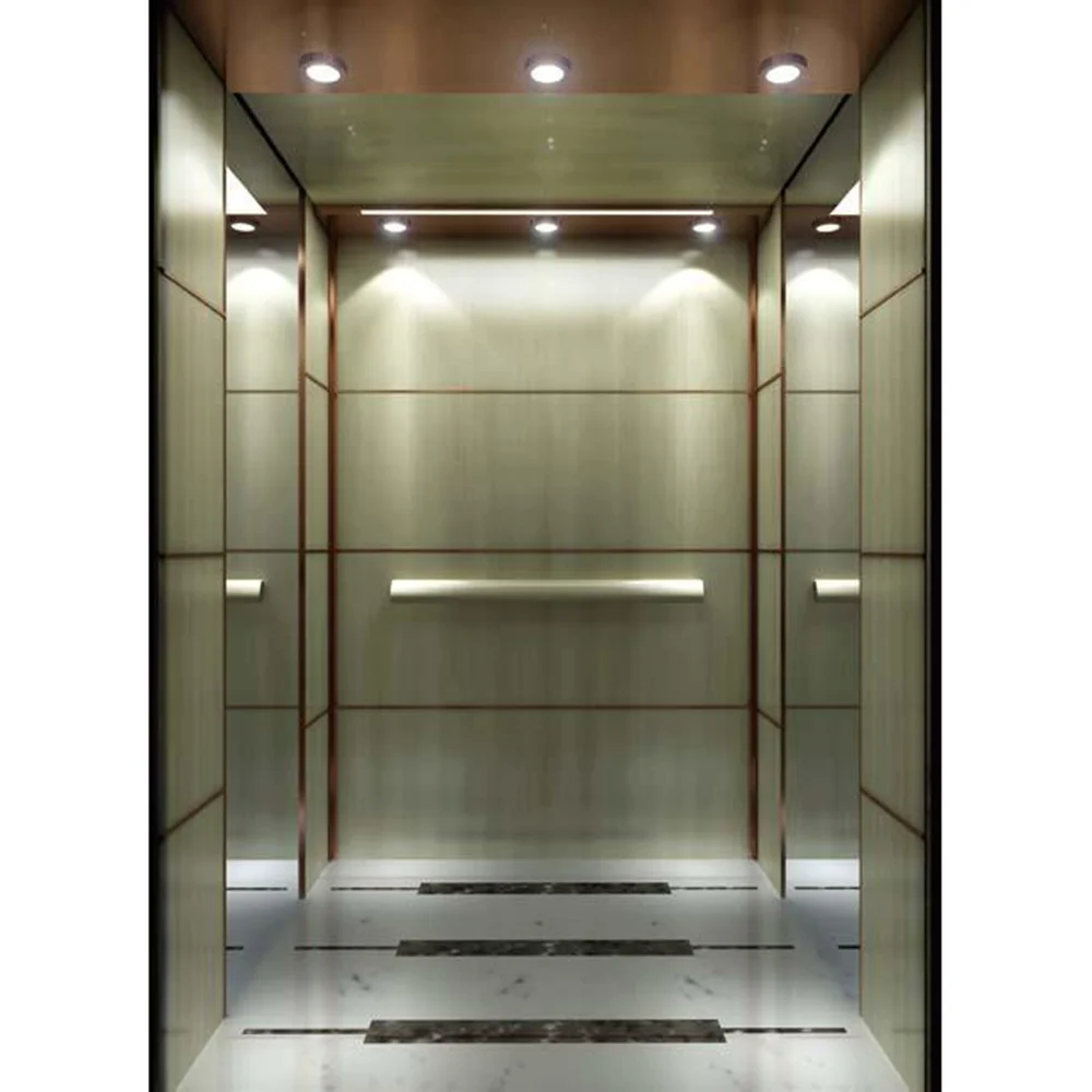 Fuji Elevator passenger Customised High Quality Elevato