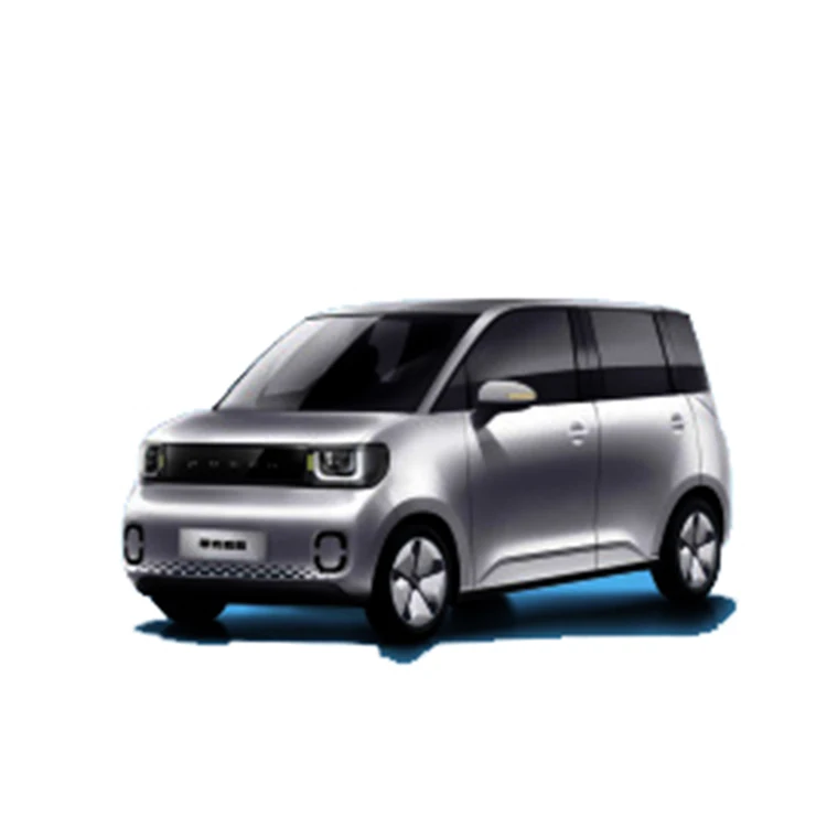Widely Used High Quality Elctric Car Electric Vehicle New Special Vehicle