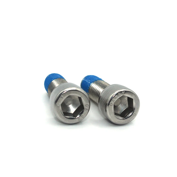 Wholesale Custom Hex Socket Head Screws Plastic Painted Screw Nylon Bolt