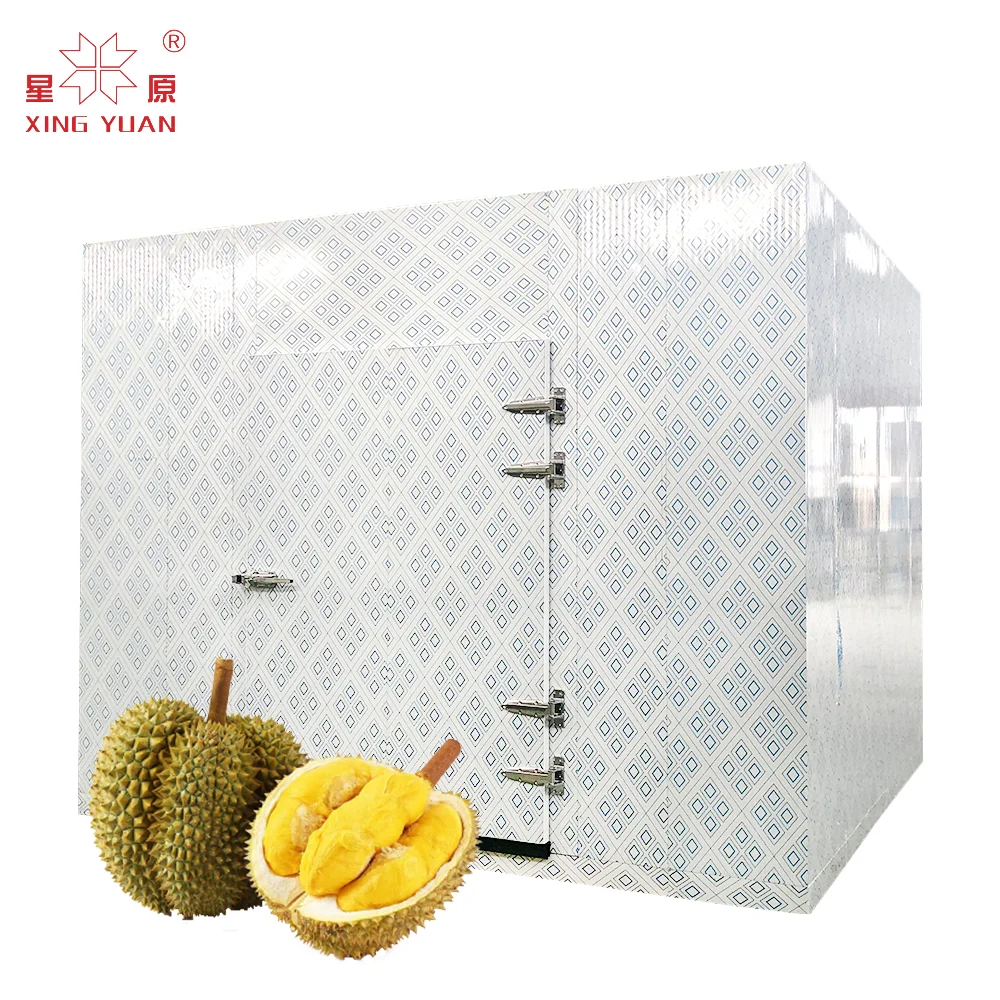 Good Quality commercial equipment cold room 600l storage automatic for chicken meat cold storage room