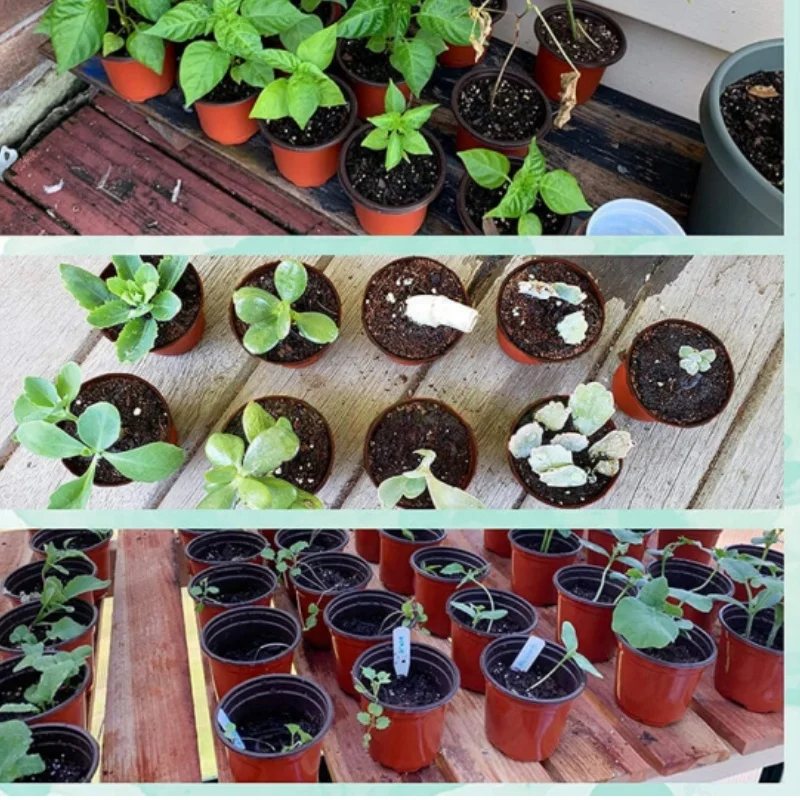 outdoor indoor plant pot flower double color seedling pots for home garden