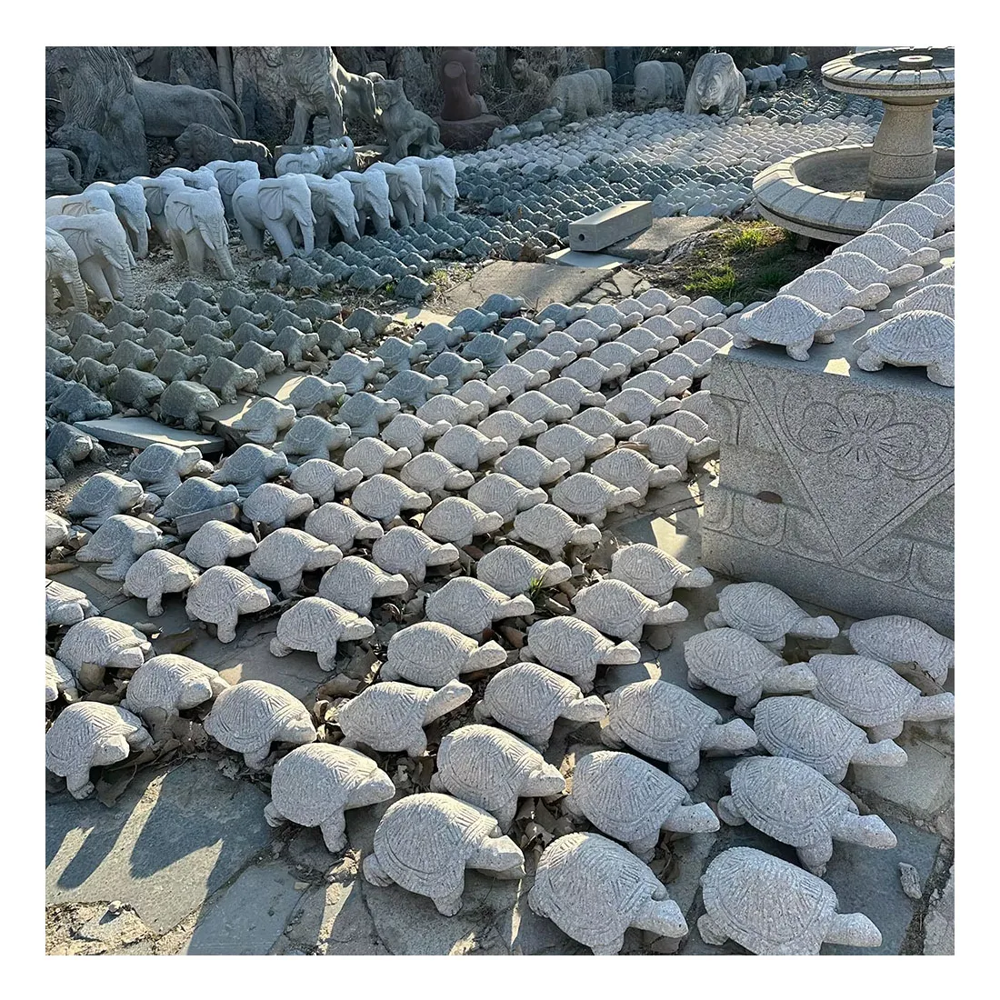 Competitive Price Good Quality Outdoor Turtle Sculpture Tortoise Statue Stone Engraving