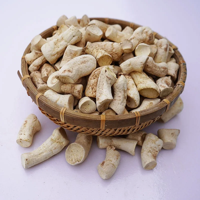 Excellent Quality Premium Stem Treated Dehydrated Mushroom champignon root