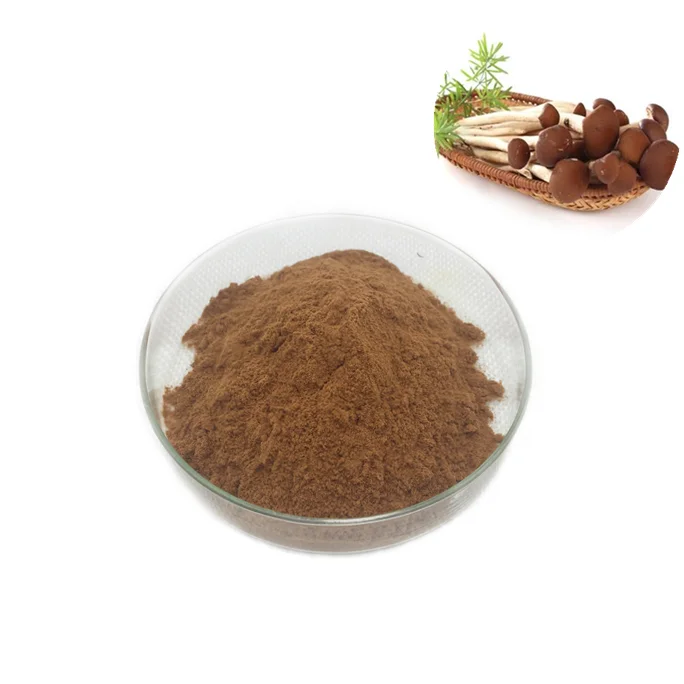 
Lowest Price Cancer suppression Mushroom Extract Powder Willow pine mushroom powder 