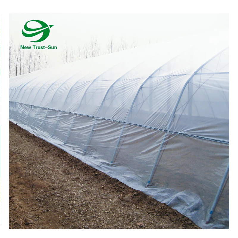 
agricultural green house aquaponics hydroponic system vertical farm plastic Single-Span greenhouse 