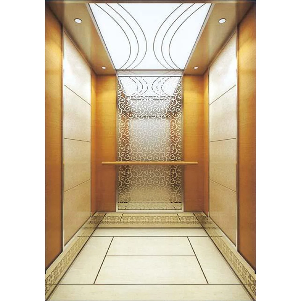Hydraulic Passengers Elevator Business Style Building Office Passenger Elevator