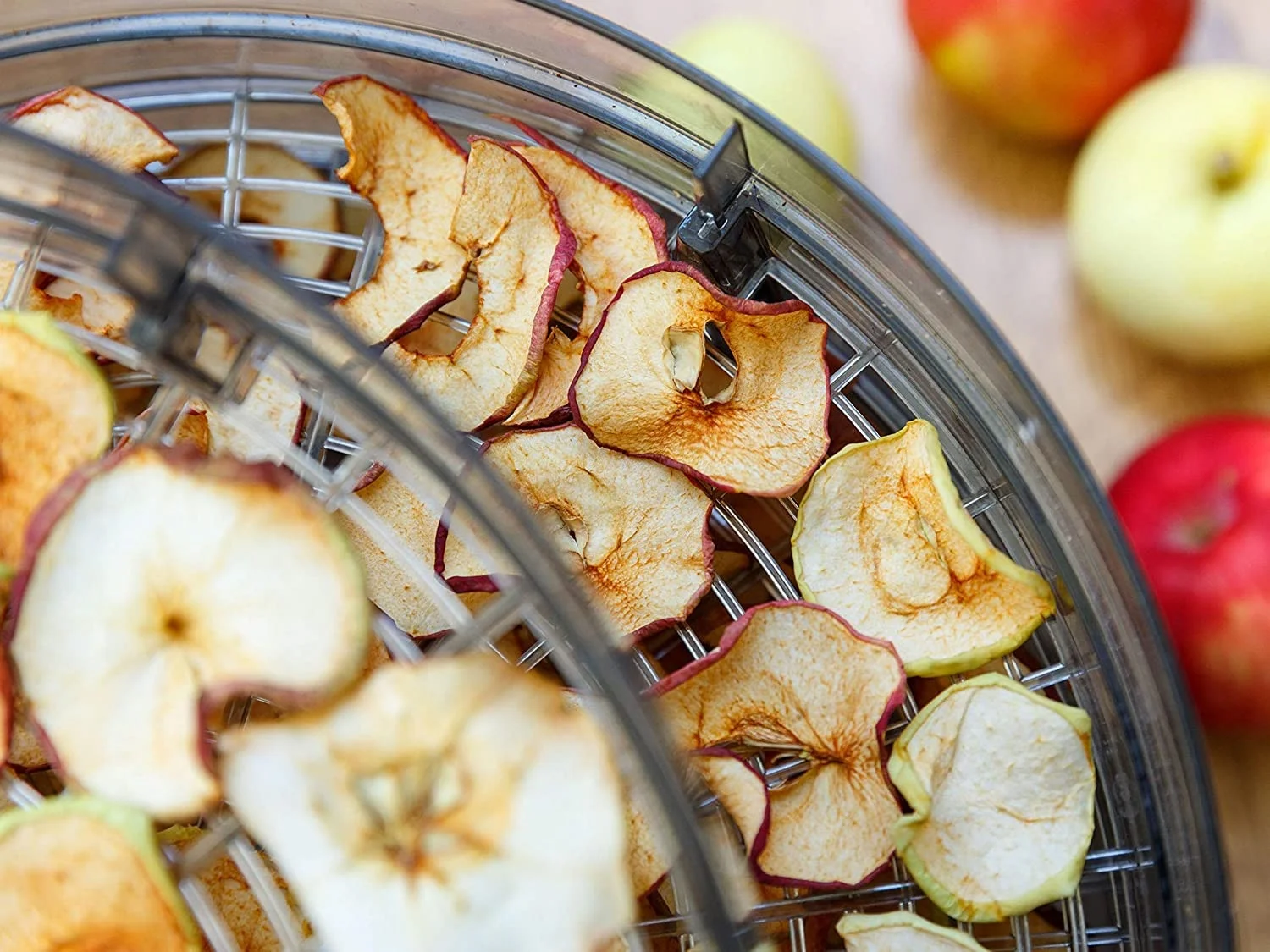 Home Appliances of Sunzone Food Dehydrator with Full Approvals