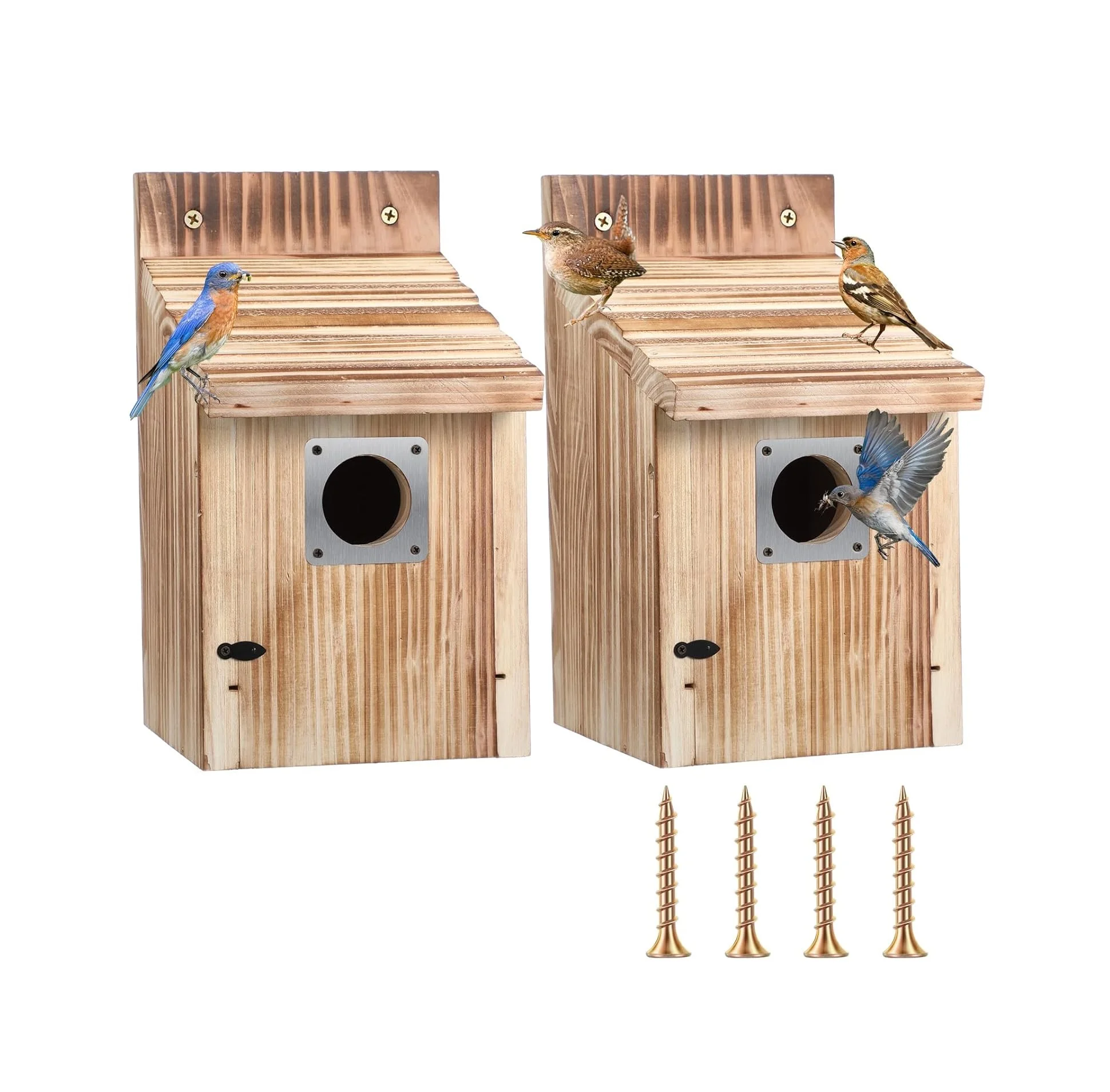 202407 Entrance Hole Wooden Bird Houses with Metal Predator Guard 2 Pack Cedar Bluebird Box Houses for Outside