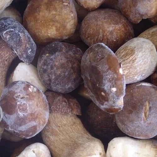 Factory Price Premium Quality Bulk Frozen Boletus Edulis Whole 2-4CM