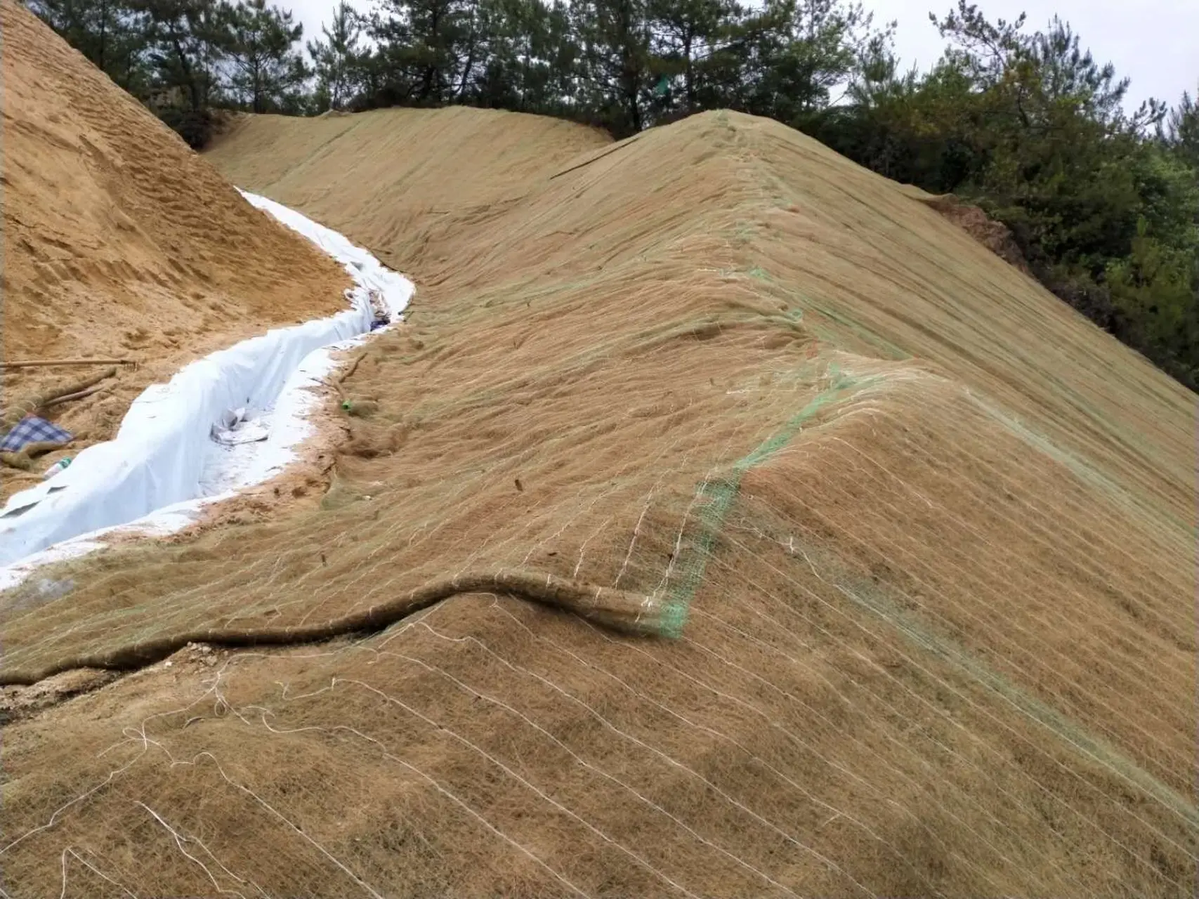 Современное одеяло из кокосового шелка