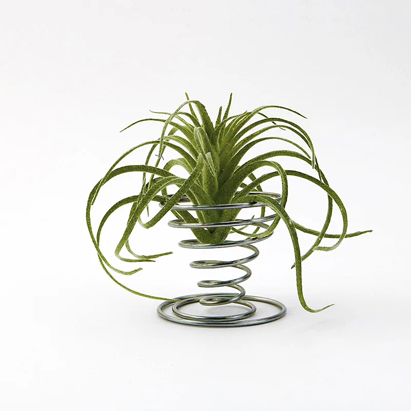 Metal Topper Plant Container Tillandsia Pots Tillandsia Racks Tall Spiral Flower Stand Air Plant Holders for Indoor Display
