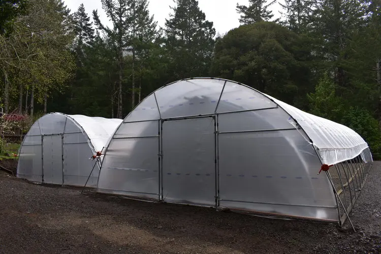 UV Protection Clear Woven Greenhouse Film Orchards Plants Protective Rains Proof Poly Tarpaulin 12*50M