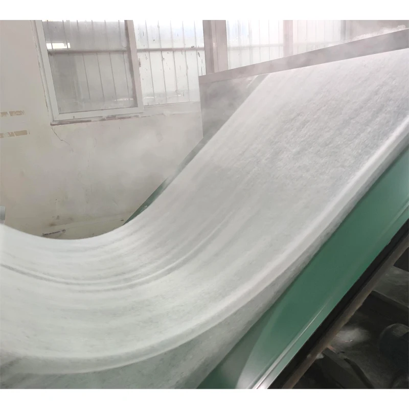 China Manufacturer Directly Non-Woven Spunbonded 100% Polypropylene Nonwoven Non Woven Fabric for Agriculture Medical and Homete