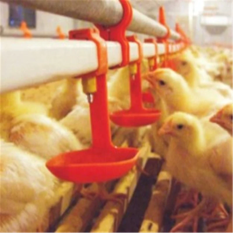 semi-automatic feeding system Chicken Waterer Adaptor for Nipple Drinker System, Auger Feed System for Poultry House
