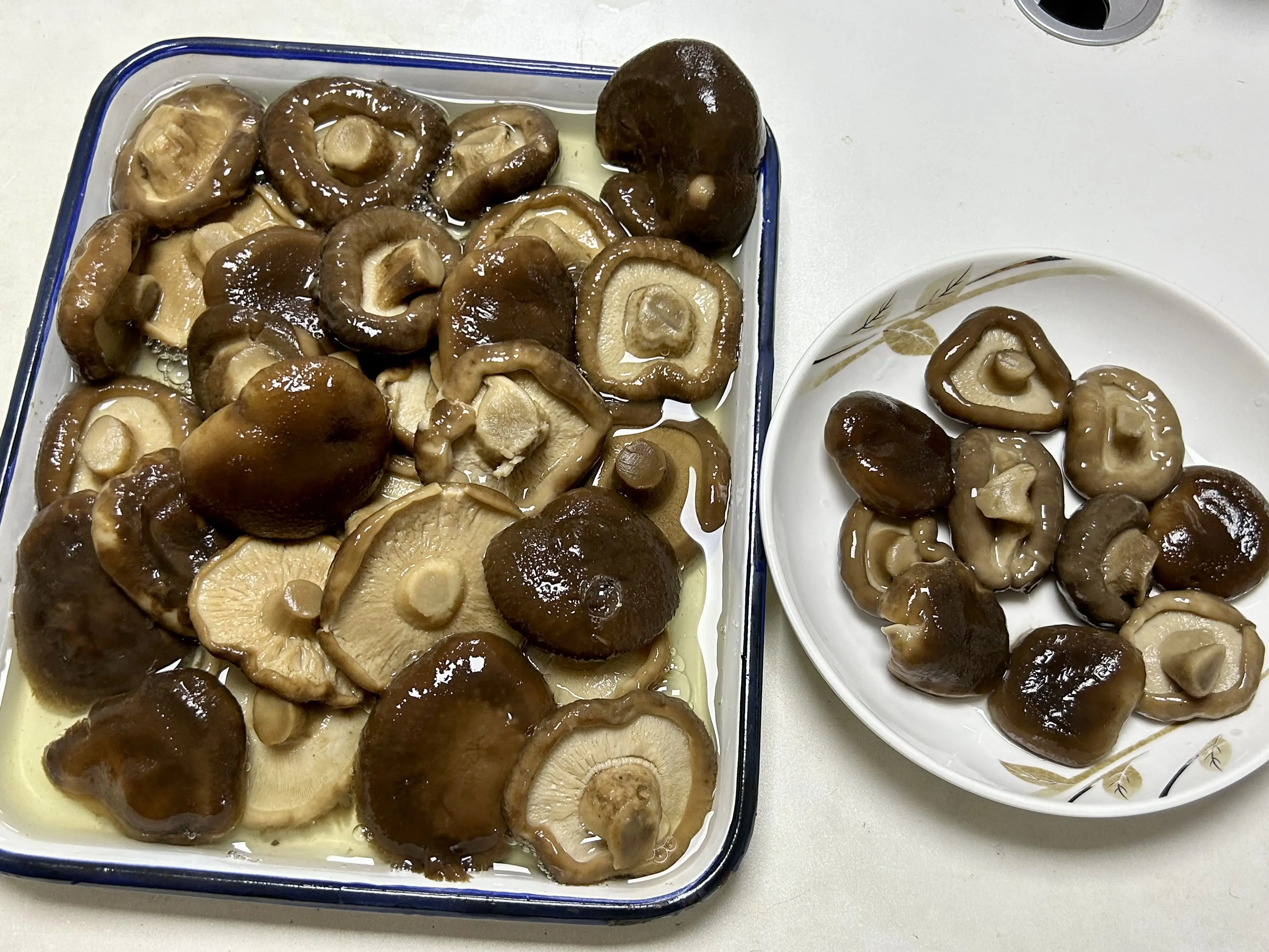 HALAL Certified Canned Shiitake Mushroom in Brine Canned Vegetables