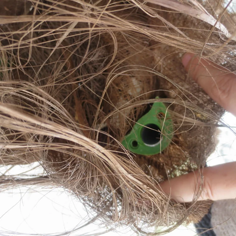 Outdoor Decorative Plastic Fake Leaves Artificial Canary Date Palm Tree