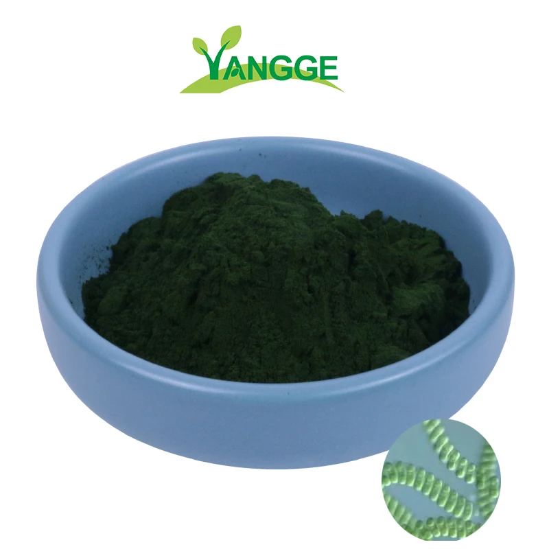 
Chinese Factory supply 100% natural green algae/spirulina powder extract 