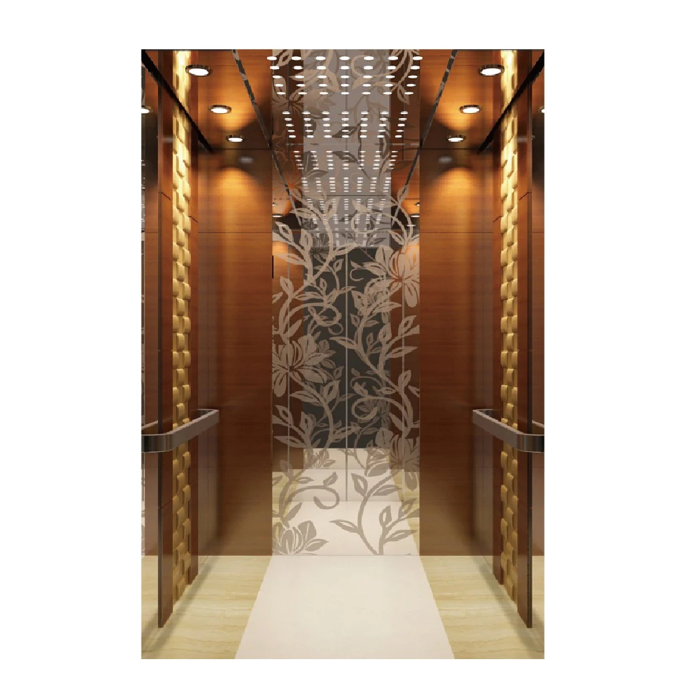 Cheap Price all Types of Passenger Residential  Elevator