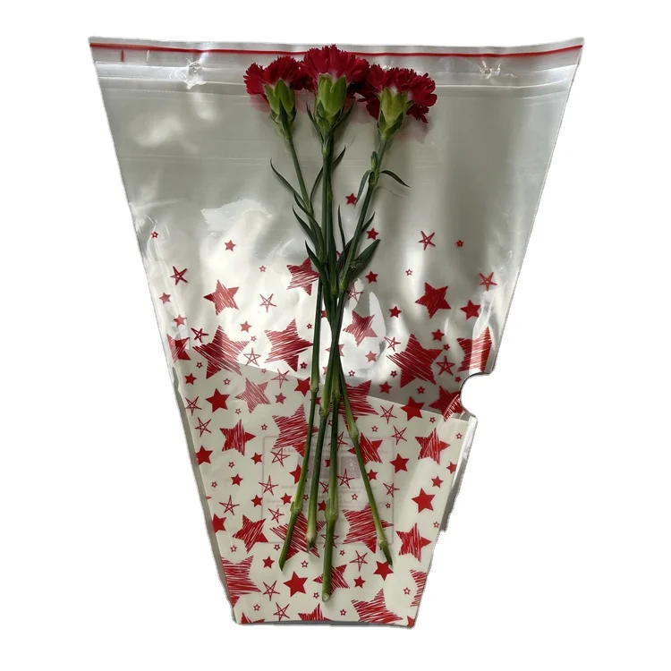 Custom Transparent Waterproof Bouquet Packaging Bag with Star Pattern Flower Set
