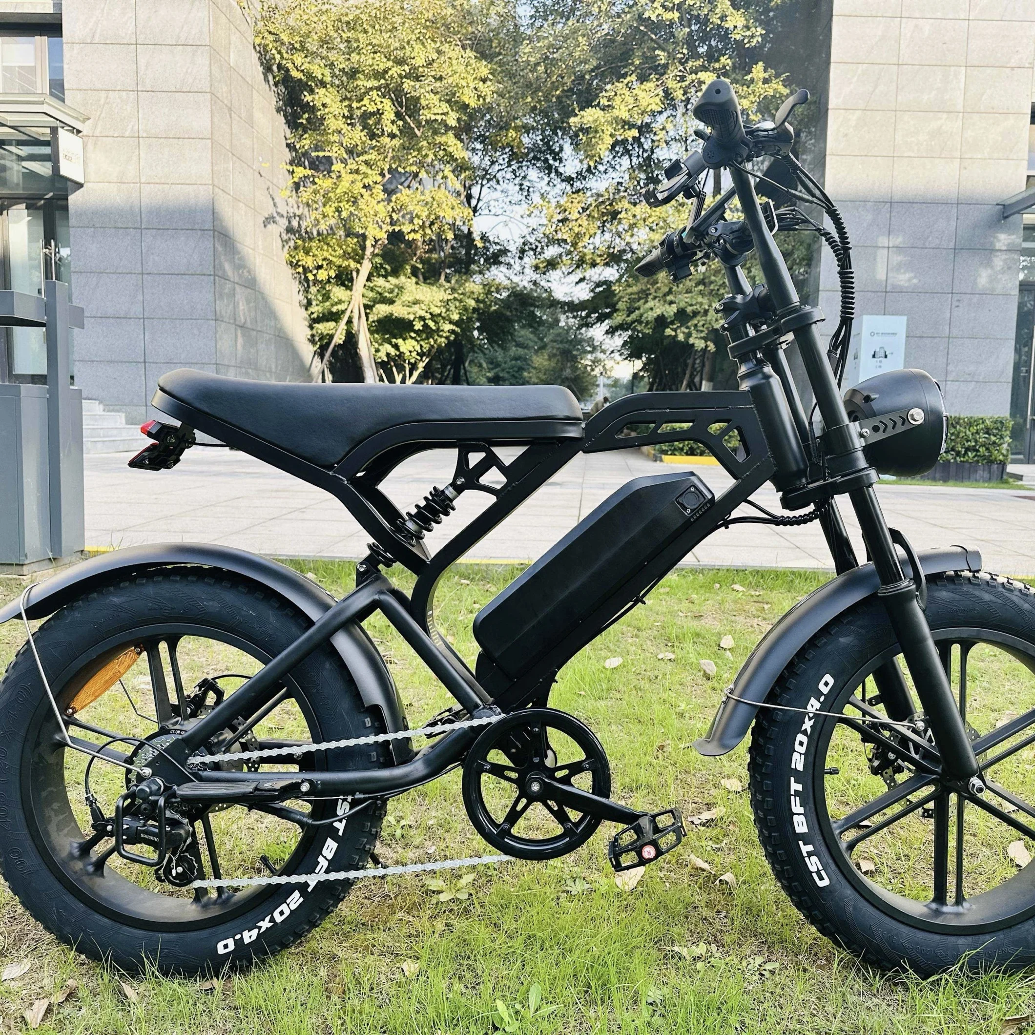 ЕС склад V20 Netherlands elektrische fiets chinees