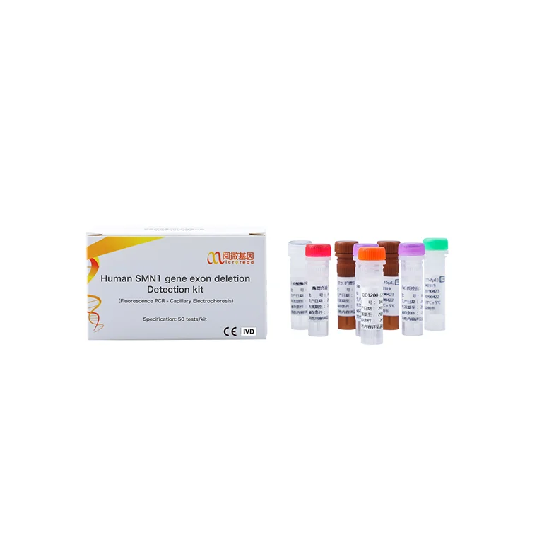 
Fluorescence PCR Capillary Electrophoresis SMN Exon Deletion Detection Kit 