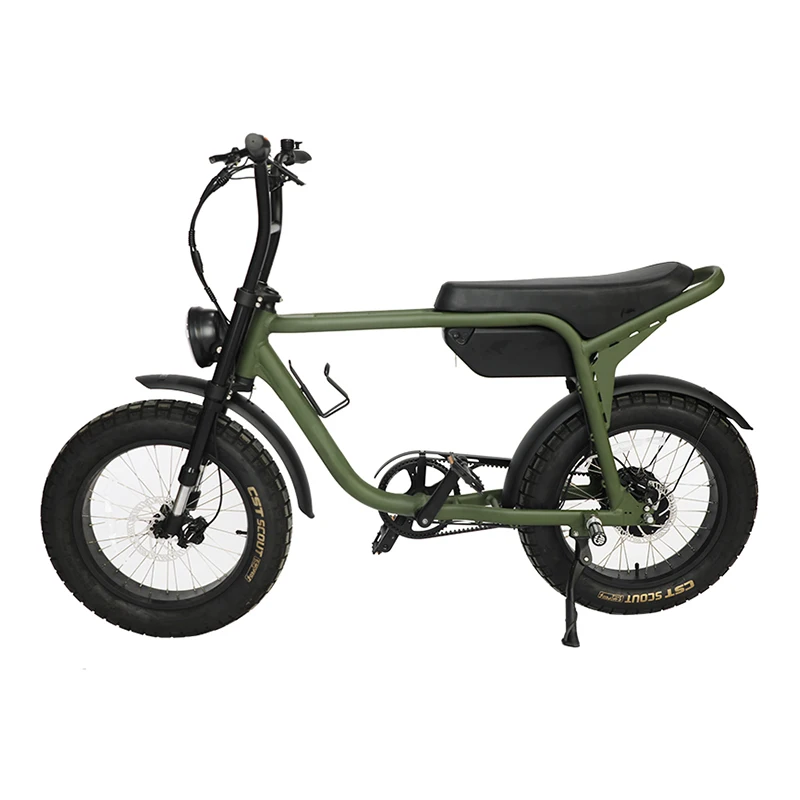 Hot sale fashion 48V15AH customized aluminum alloy 20*4' Fat Tire electric sport bicycle ebike