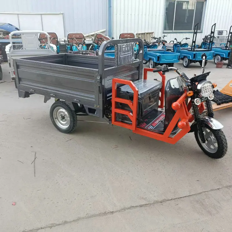 Wholesale Export Durable Cheap Adult Electric Tricycle 3 Wheeler Electric Cargo Tricycle