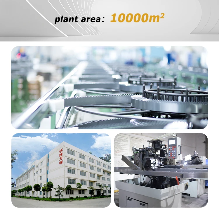 Customize Size 124 C75s 65mn high carbon quenched tip hardened bandsaw blades by the roll for Wood Cutting