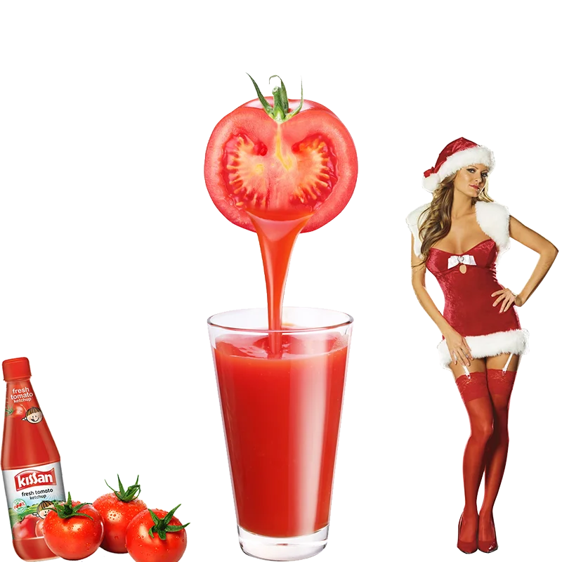 Automatic Small Processing Plant Professional Tomato Jam Production Line Tomato Paste Processing Machine Price To Make Jam