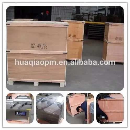 rice beans or peas stainless steel vacuum packaging machine DZ400/2E