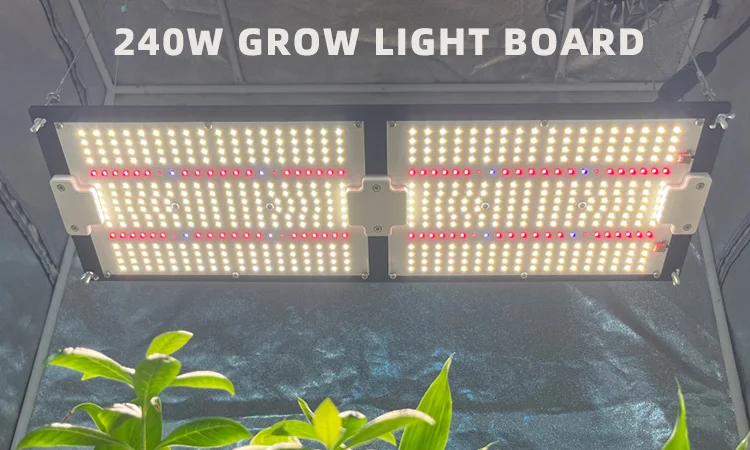 Fast Delivery Lm301h 240W Grow Light Board Full Spectrum Lm281b 660nm Red Coverage 3*3 Tent Led Grow 240W Uv Ir