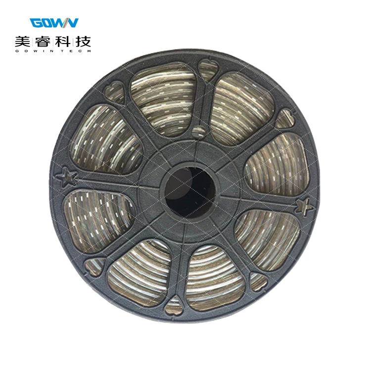 AC110V 220V SMD5050 RGB LED Strips 48LED/M With IC Included IP67 IP68 Waterproof For Landscape