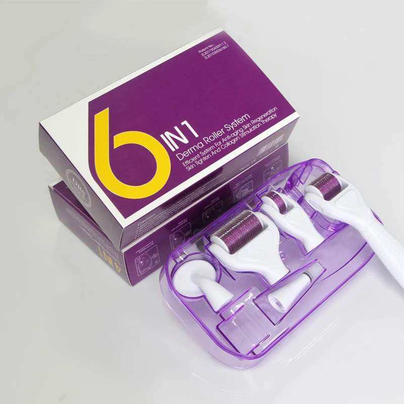 Hot selling 6 in 1 Micro Needle Skin Care Derma Roller Kit 1200 Microneedle Dermaroller For Hair Growth