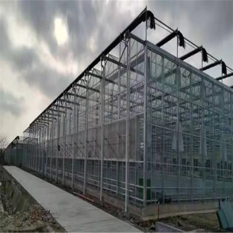 commercial Agricultural tunnel tomato polycarbonate hydroponic greenhouse systems garden